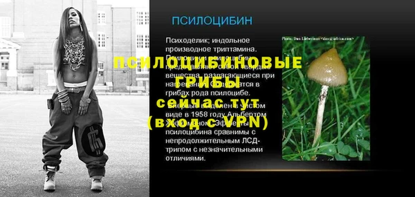 не бодяженный Арсеньев