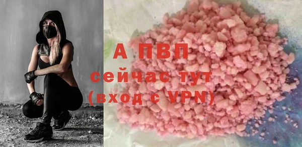 ПСИЛОЦИБИНОВЫЕ ГРИБЫ Покровск