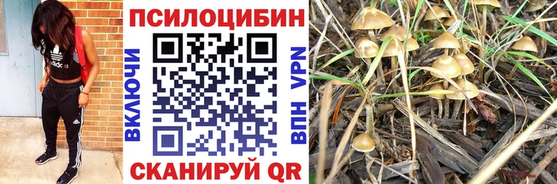 Галлюциногенные грибы MAGIC MUSHROOMS Прохладный